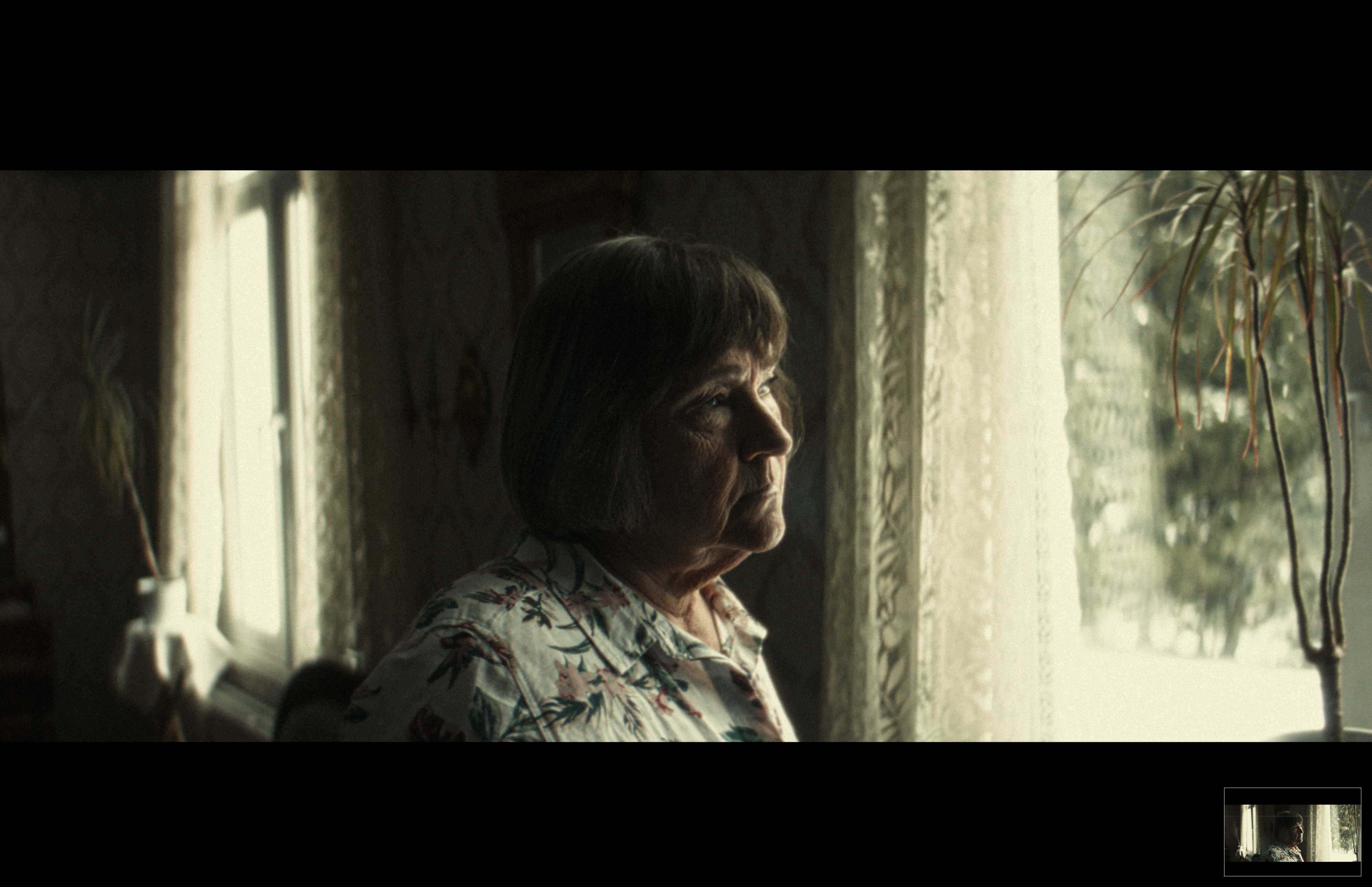 Window-light portrait before Phos